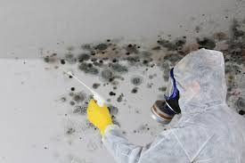 Best Basement Mold Removal in Bristow, OK